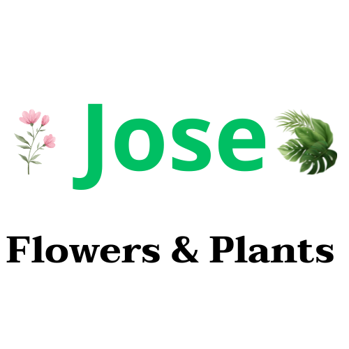 Jose Flowers & Plants